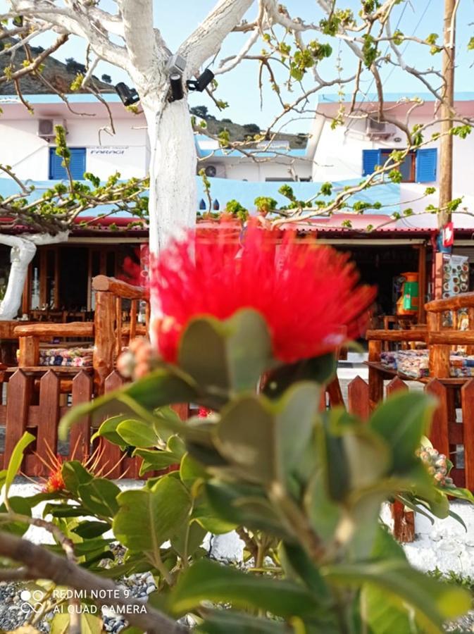 Apartamento Faragi Agia Roumeli Exterior foto